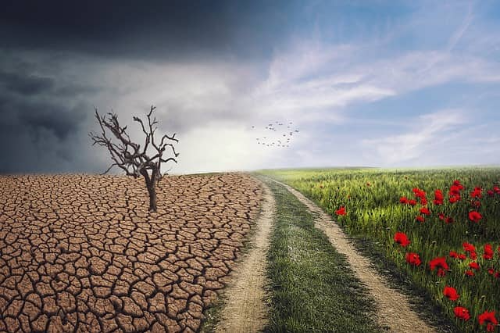 기후감수성 2025 트렌드 코리아