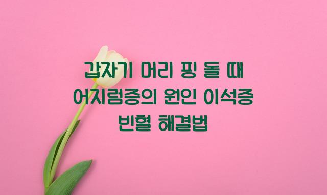 어지럼증의 원인
