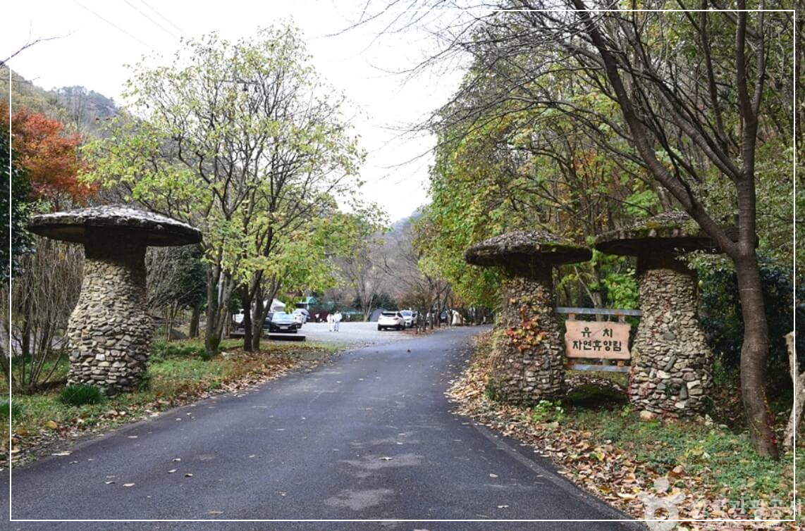 장흥 가볼만한곳 베스트10 유치자연휴양림