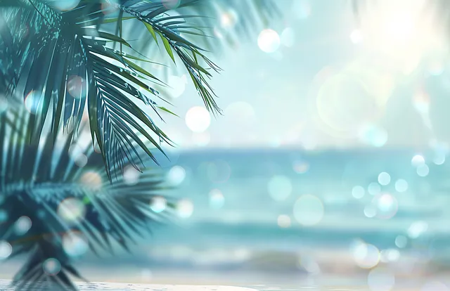 여름 바다 휴양지 &amp;#124; 야자수와 반짝이는 바다 풍경