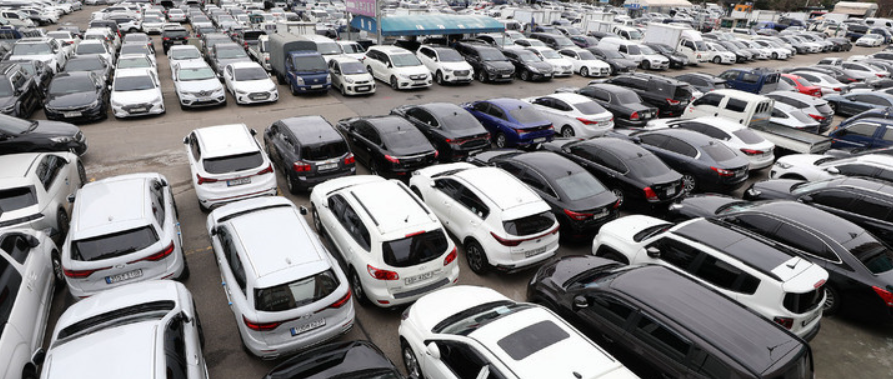 중고차-시세-동향