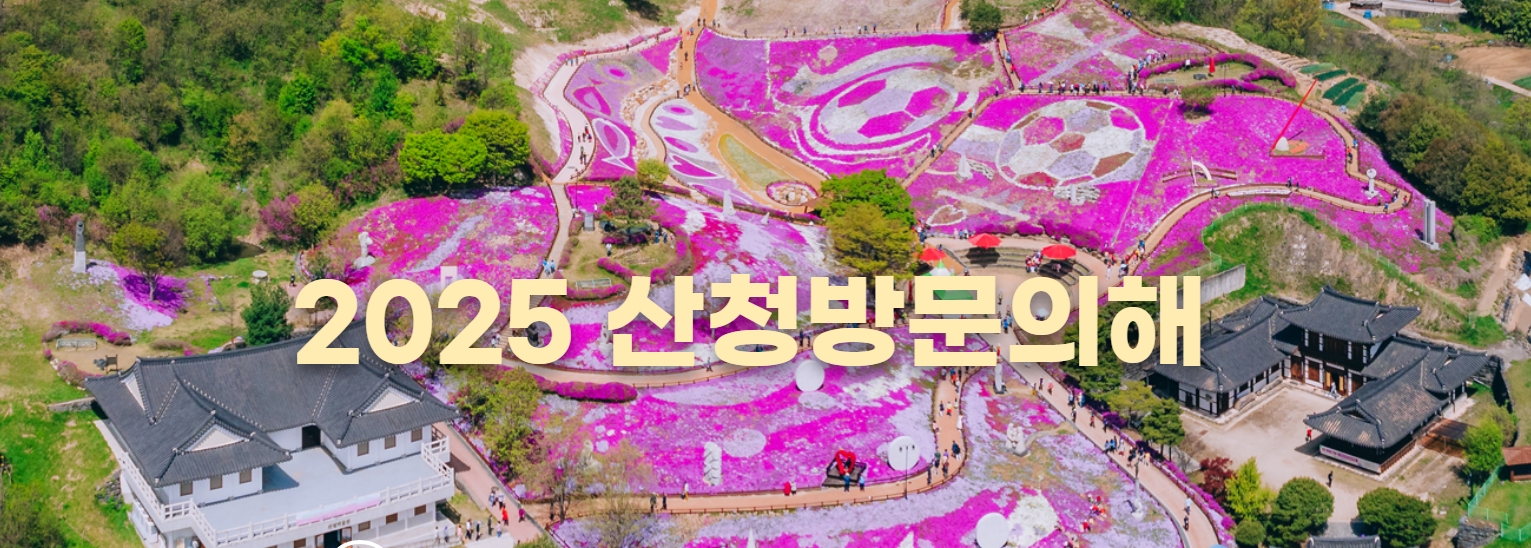 [4월~ 5월 축제]산청 꽃잔디 축제 &amp; 철쭉❘꽃잔디, 철쭉 개화 상황, 생초국제조각공원의 모습