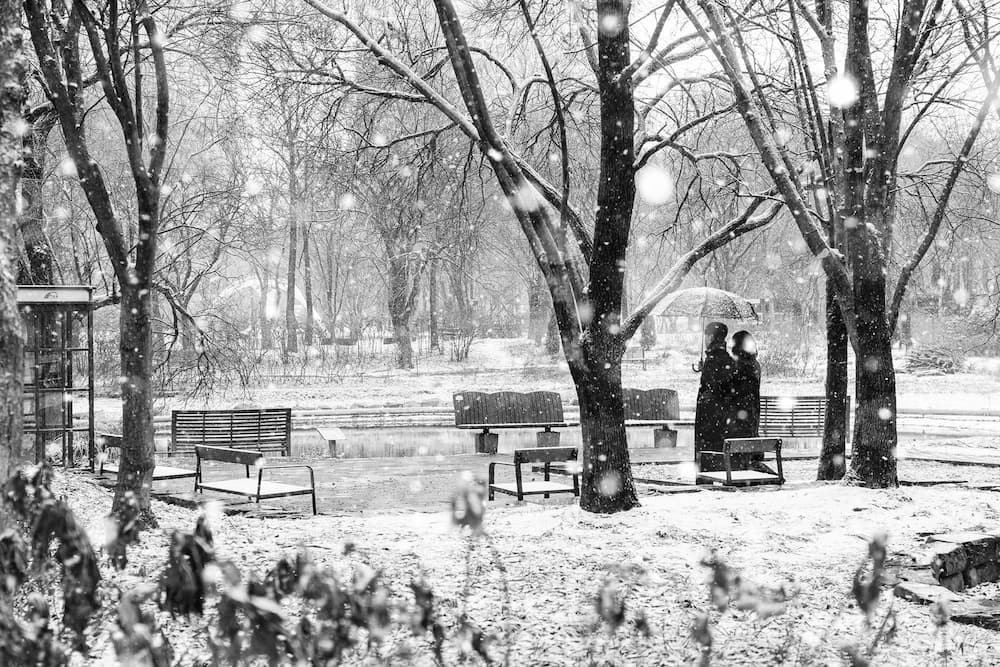 서울숲의 눈내리는 풍경 속 연인