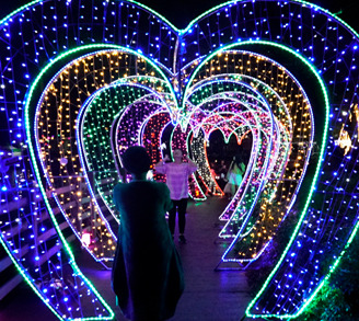 2025 장수한우랑사과랑축제 완벽 가이드