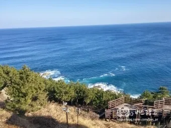 영천 가볼만한곳 베스트10 기억에 남을 멋진 명소 추천_13