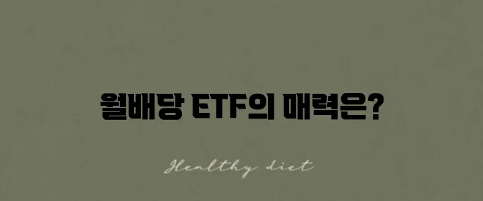 ACE 미국 30년국채 액티브 H ETF 월배당 투자 포트폴리오를 제안합니다!