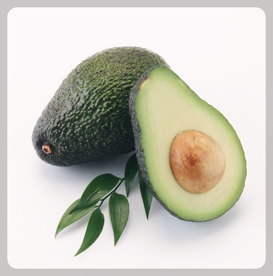 아보카도-효능-및-부작용