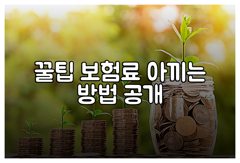 꿀팁 보험료 아끼는 방법 공개