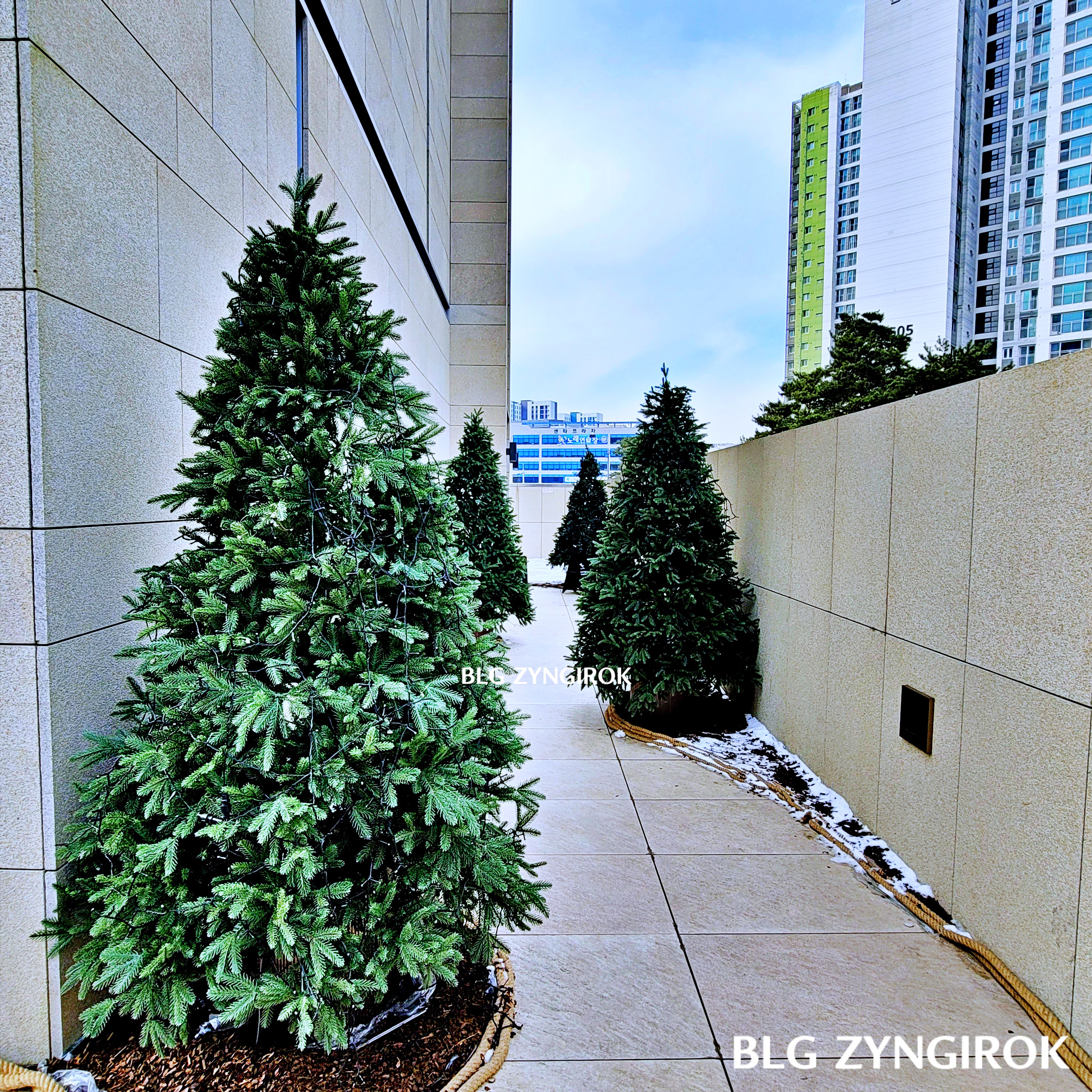 아나키아 입구 모습이다.