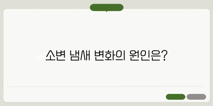 소변 냄새가 심할 때 어떤 질병을 의심해야 할까?