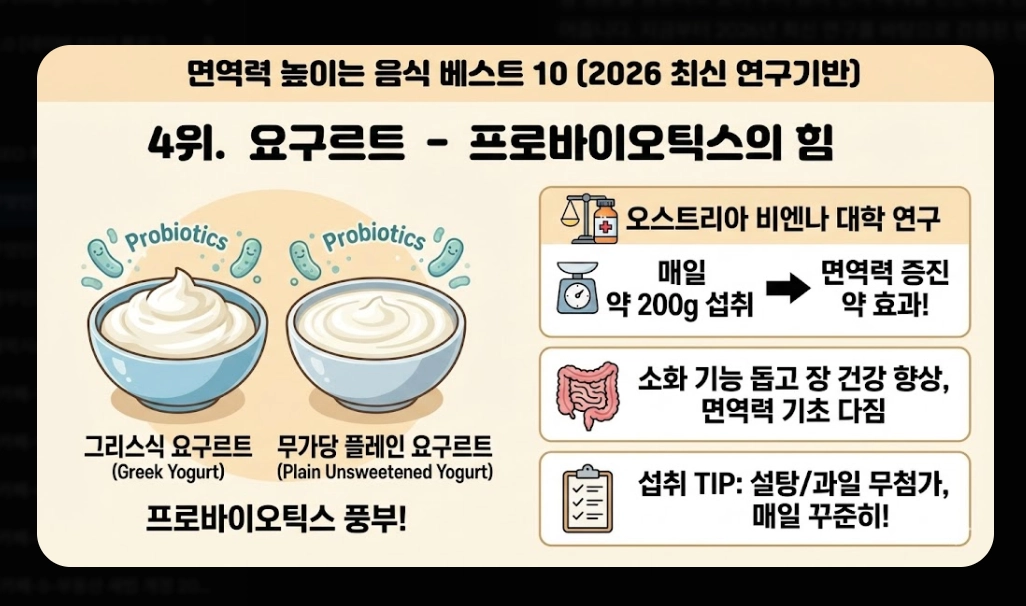 면역력 높이는 음식 베스트 10 [2026년판] 강화 식품 섭취법 및 생활 습관 총정리