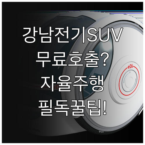 강남 자율주행차 전기 SUV 차종 정..