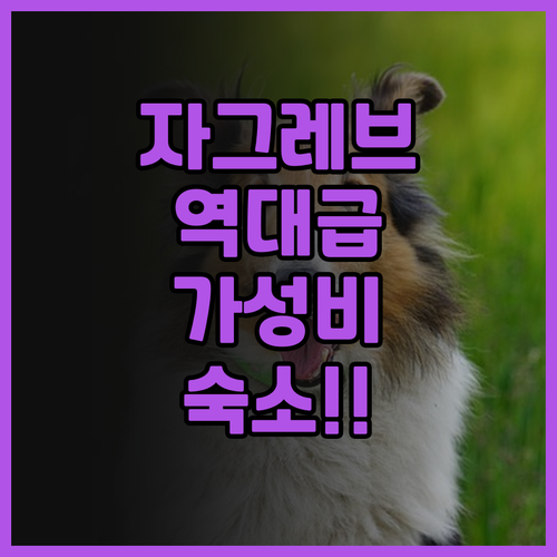 시티 워크 호스텔 후기 트램 이동이 ..