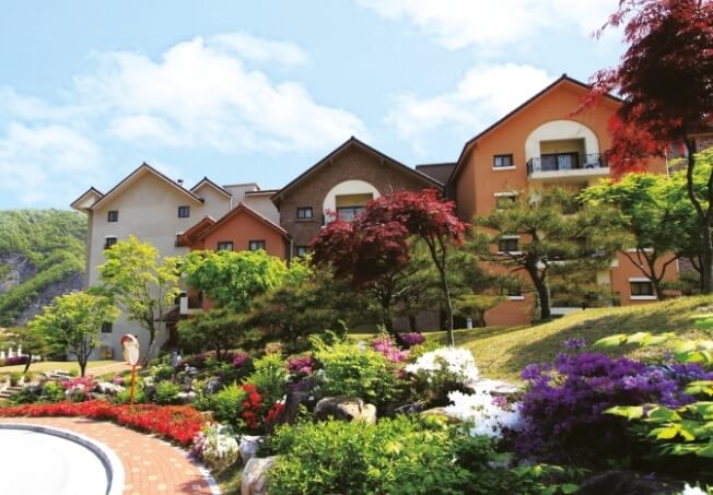 영월 가볼만한곳 베스트 10