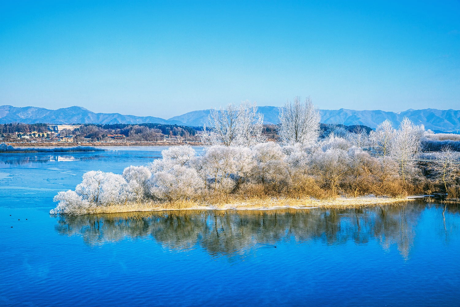 춘천 상고대 명소13