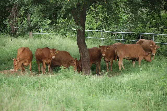거창 시외버스터미널 시간표 예매 요금_1