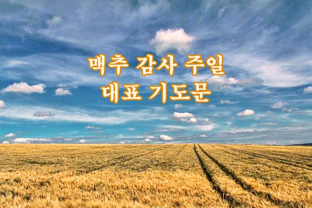 맥추 감사 주일 대표 기도문