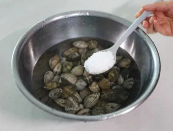 바지락 해감시키는법 깨끗하게 해감하는 방법_6