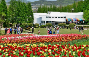 꼭 가야하는 축제 BEST 5곳