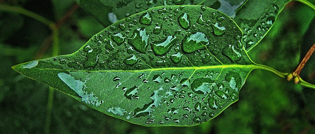 비오는 날, 뭐하지?