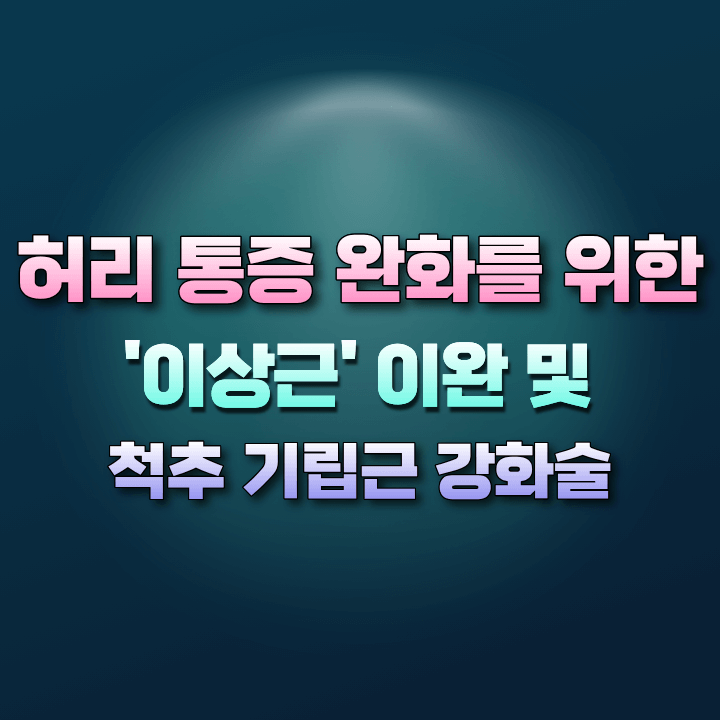 이상근이완및척추기립근강화술