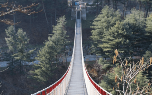 어메이징파크-흔들다리