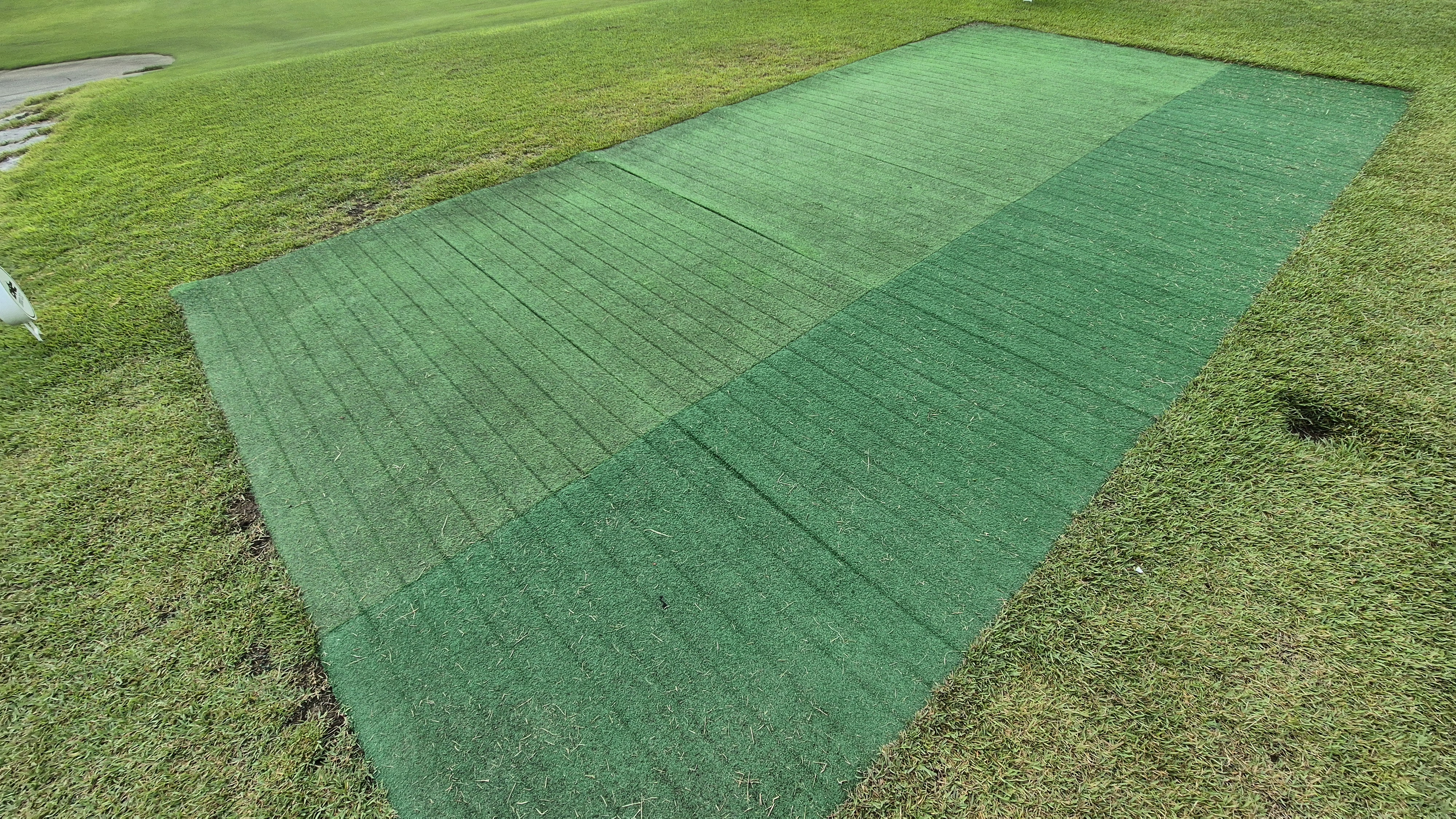 도고cc 티잉구역상태