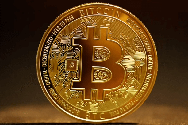 비트코인 0.5개 가치 분석! 암호화폐 장기 투자법