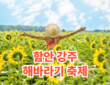 함안 강주 해바라기 축제 일정