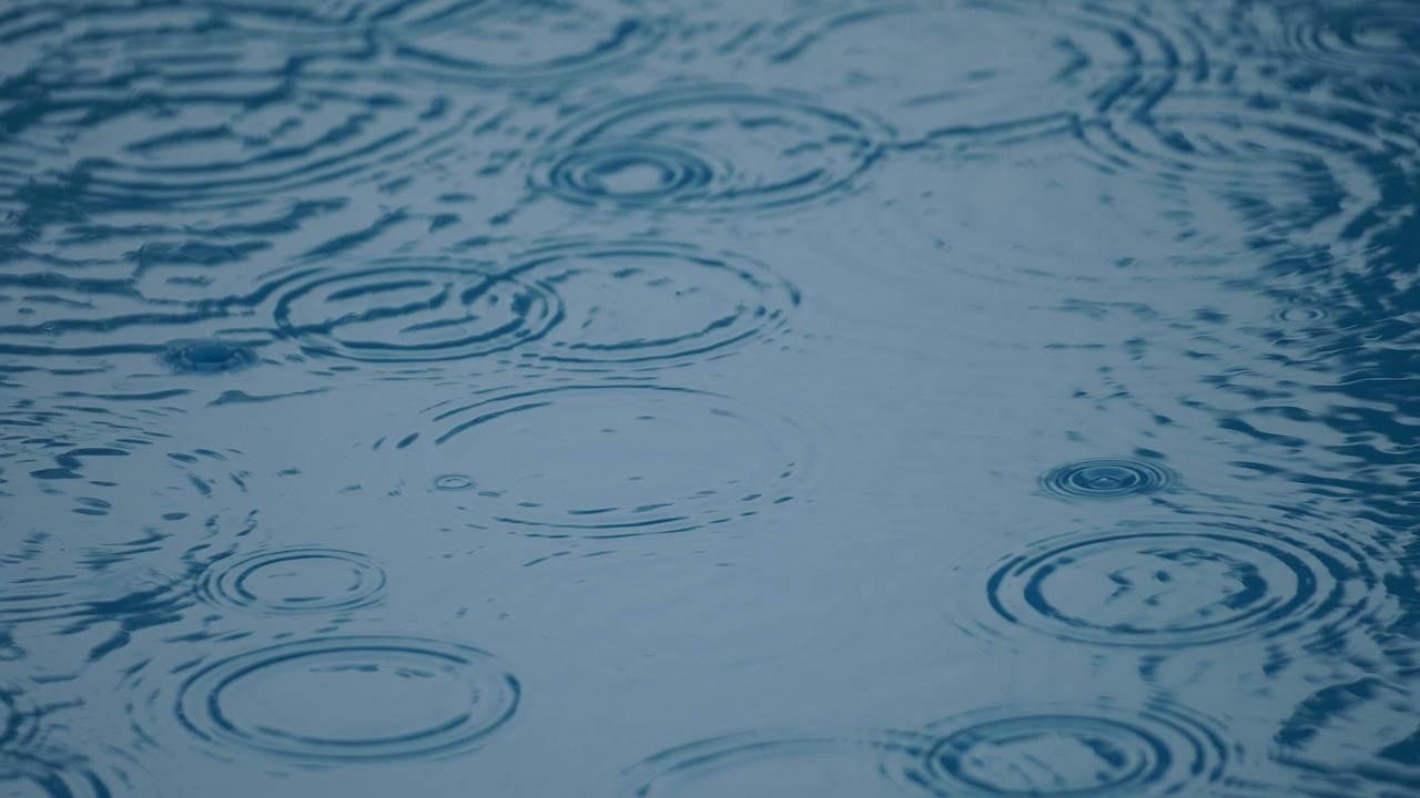 2025년 서울 장마 기간