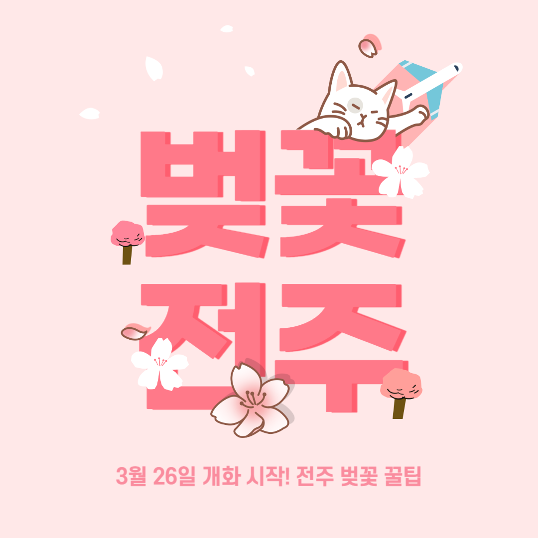 전주 벚꽃 축제 솔직후기 개화시기부터 명소&middot;맛집까지 완벽 가이드