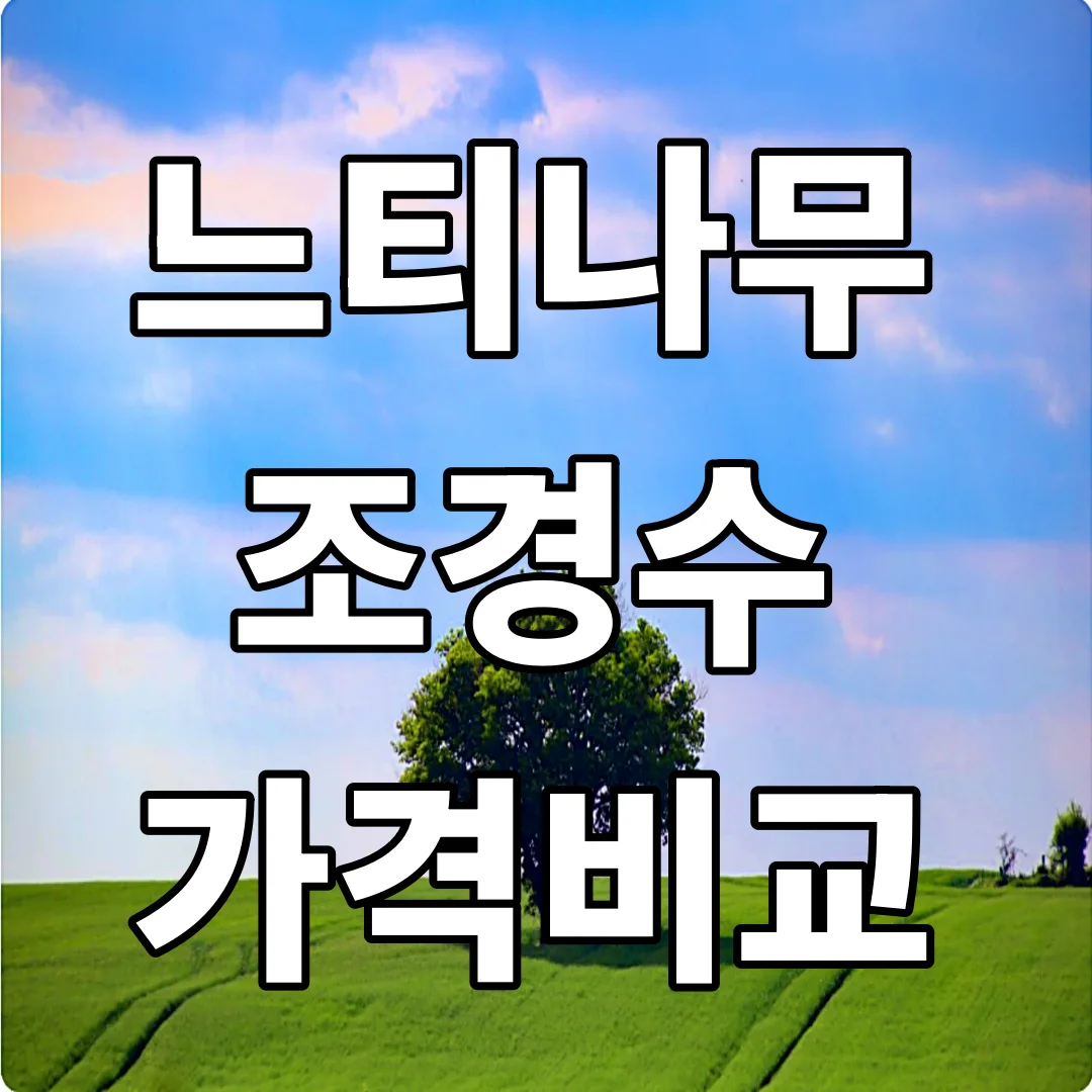 느티나무 대목 가격 조경수 가격비교