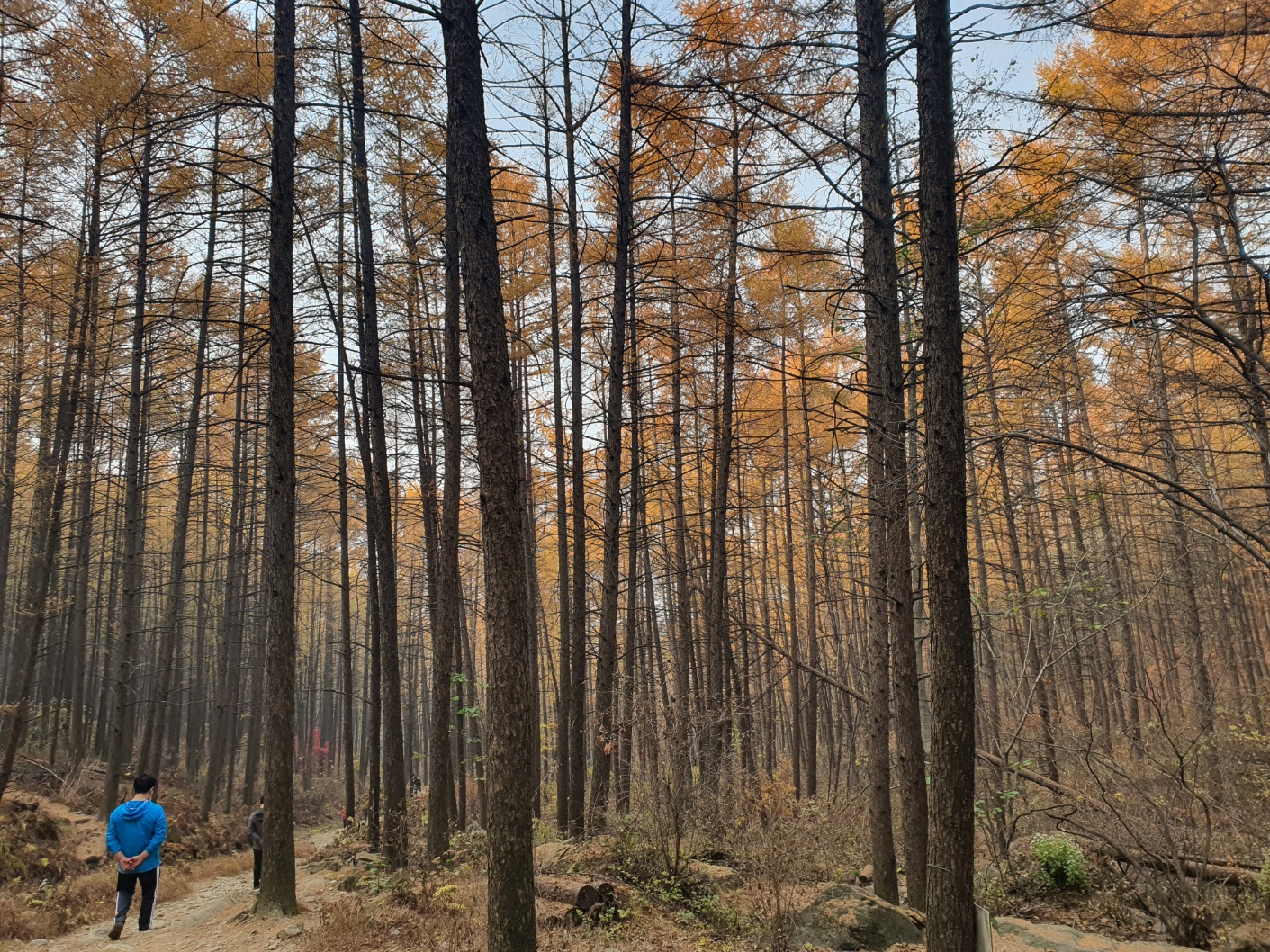 검단산 관련 사진