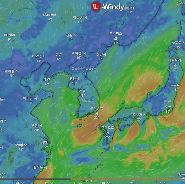 11호 태풍 버들 뜻, 현재 경로, 영향, 대응 방법