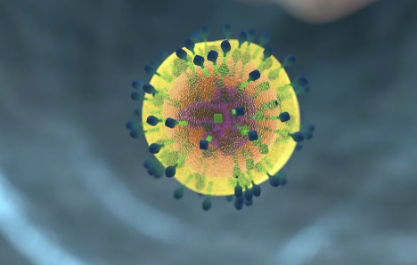 Short-chain fatty acids (SCFAs)와 면역세포 대사 조절