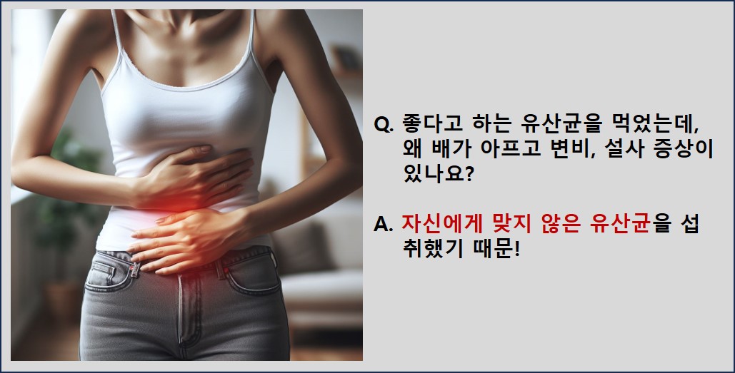 맞춤형유산균