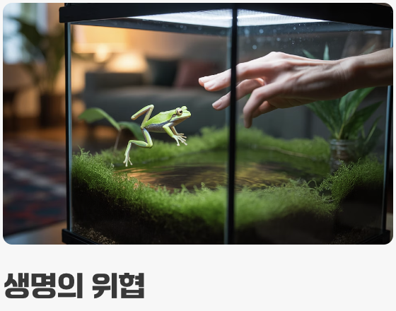 만지지 마세요, '눈'으로 사랑해주세요