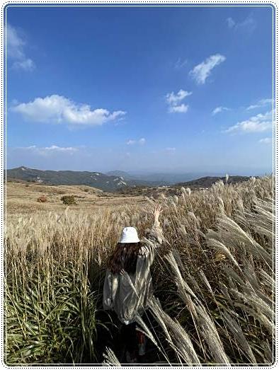 황매산-억새축제