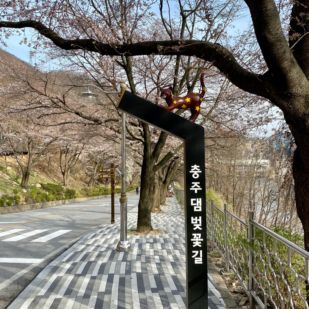 4월에 가볼만한 벚꽃명소 충주땜 벚꽃길