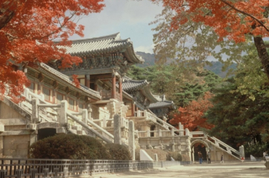 경주이미지