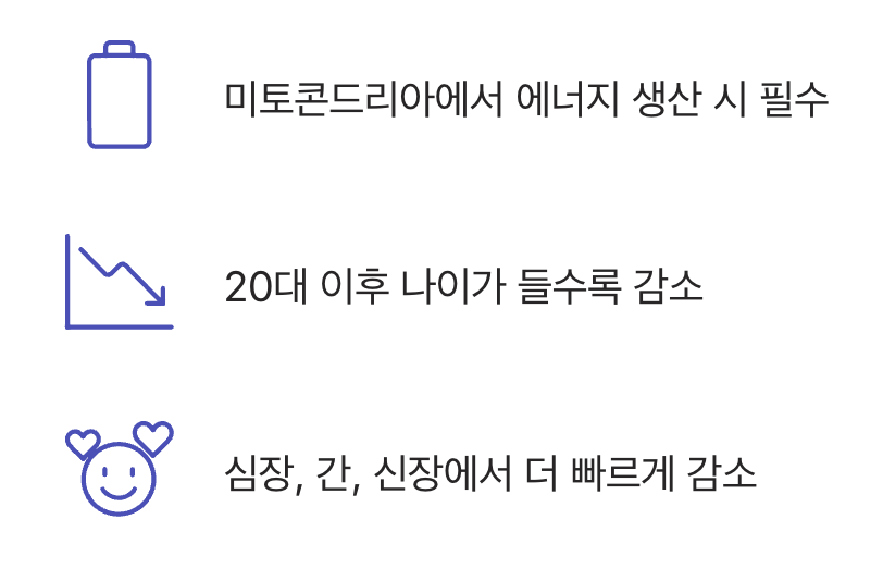 내 몸속 에너지 공장의 '점화 플러그'