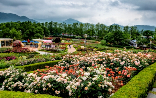 곡성 세계 장미축제 부대행사1