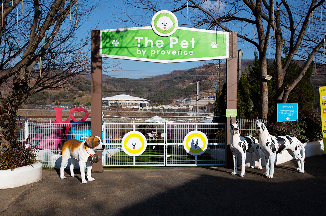 청도 프로방스 빛축제