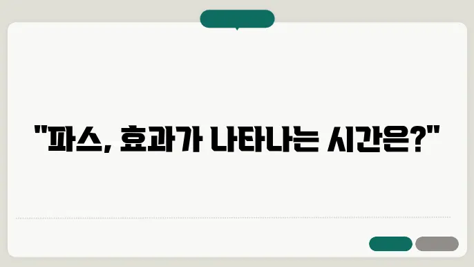 파스 활용시기
