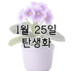 이 이미지를 클릭하시면 1월 25일 탄생화에 관한 포스팅으로 이동됩니다.