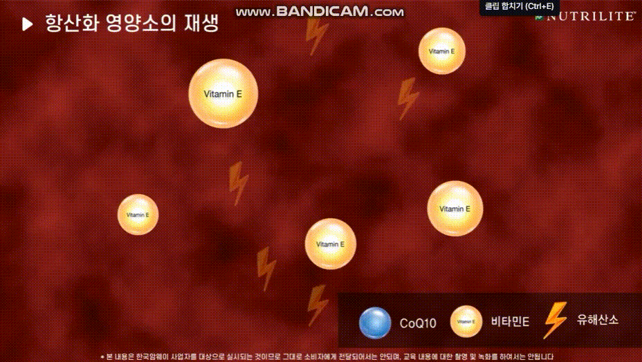 항산화 영양소의 비타민E 재생