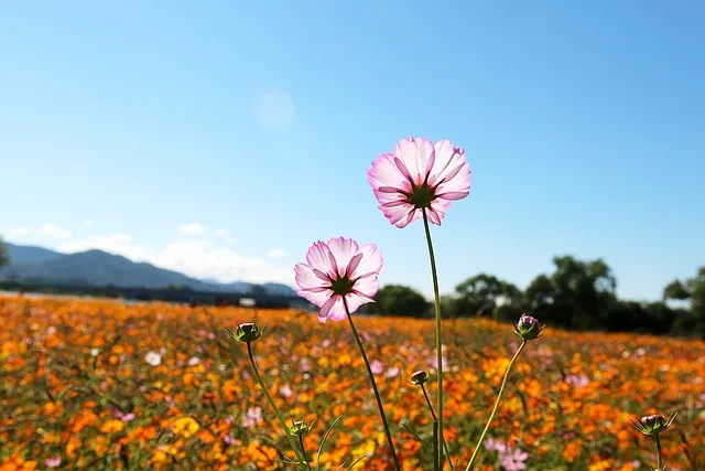양주 가볼만한곳 베스트10 여행 놀거리 맛집_8
