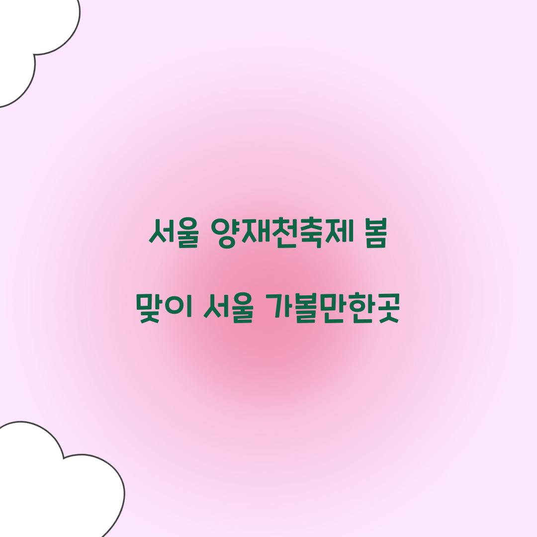 서울 양재천축제