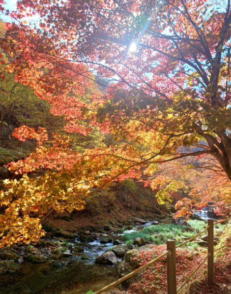 강천산군립공원