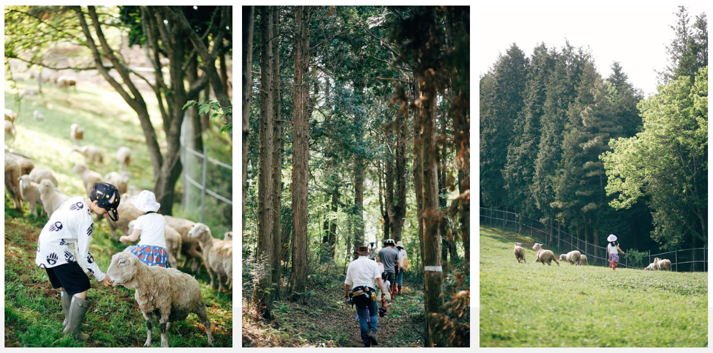 남해 상상양뗴목장